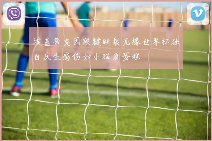 埃基蒂克因跟腱断裂无缘世界杯独自庆生感伤如小猫看蛋糕