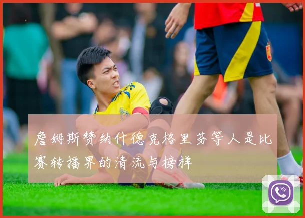 詹姆斯赞纳什德克格里芬等人是比赛转播界的清流与榜样