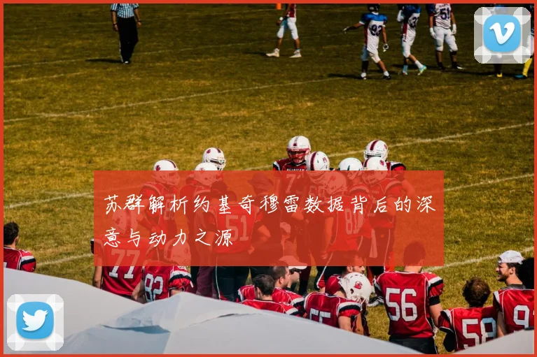 苏群解析约基奇穆雷数据背后的深意与动力之源